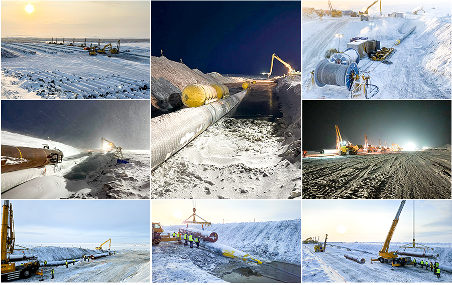 1740745839802.png 1740745839802.png